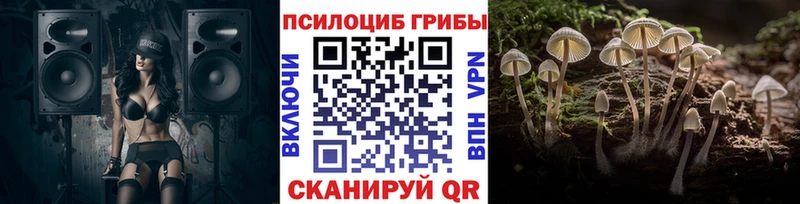 Псилоцибиновые грибы мицелий  kraken ССЫЛКА  Люберцы 